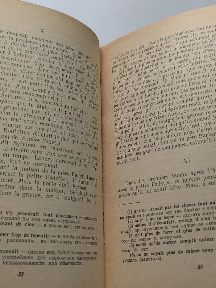 Учебная серия для начального чтения. Fanchon Fadet. Фаншон Фадэ по роману Жорж Санд "Маленькая Фадетта"