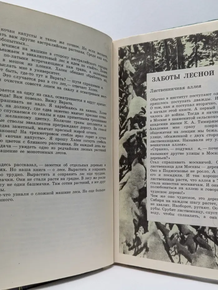 Упрямые башмачки