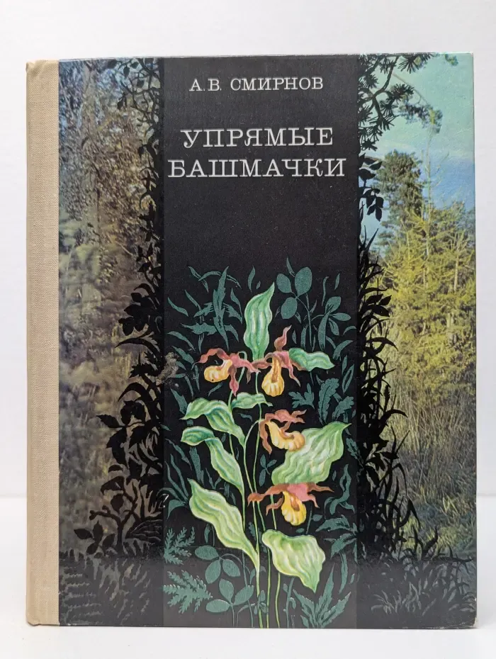 Упрямые башмачки