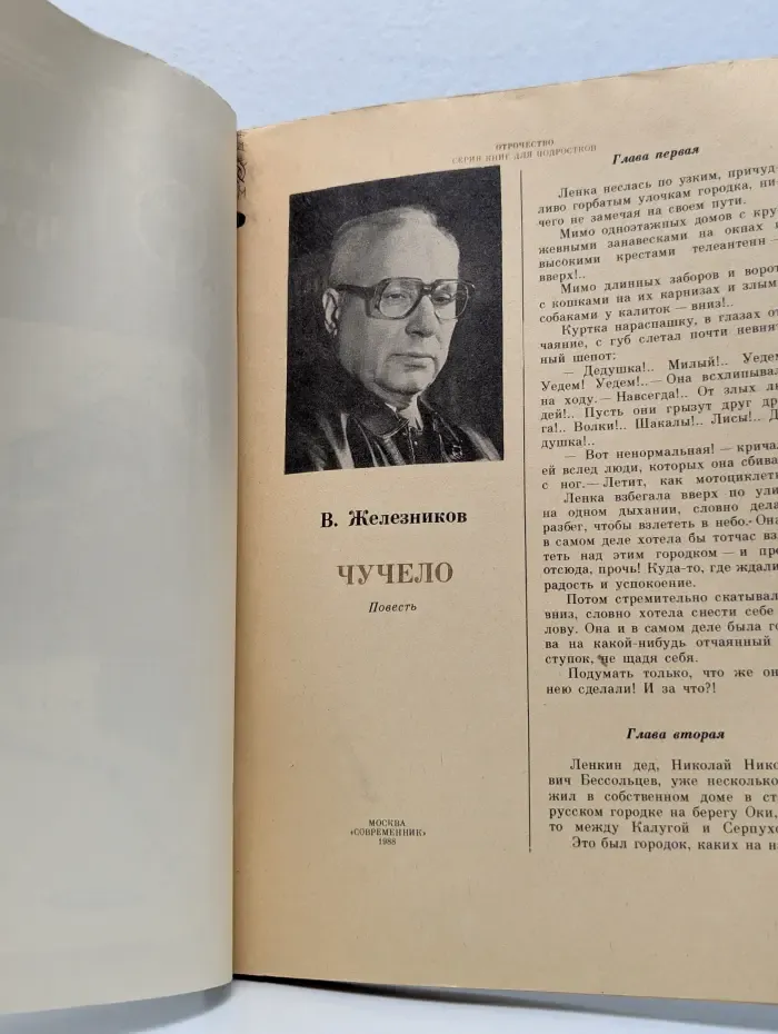 Отрочество. Серия книг для подростков. Чучело