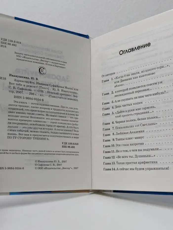 Самоучитель везения. Здравствуйте, Наивная Суфийская Мышь! или Вот тебе и ремонт!