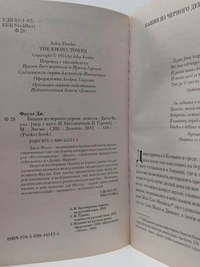 Pocket book. Башня из черного дерева