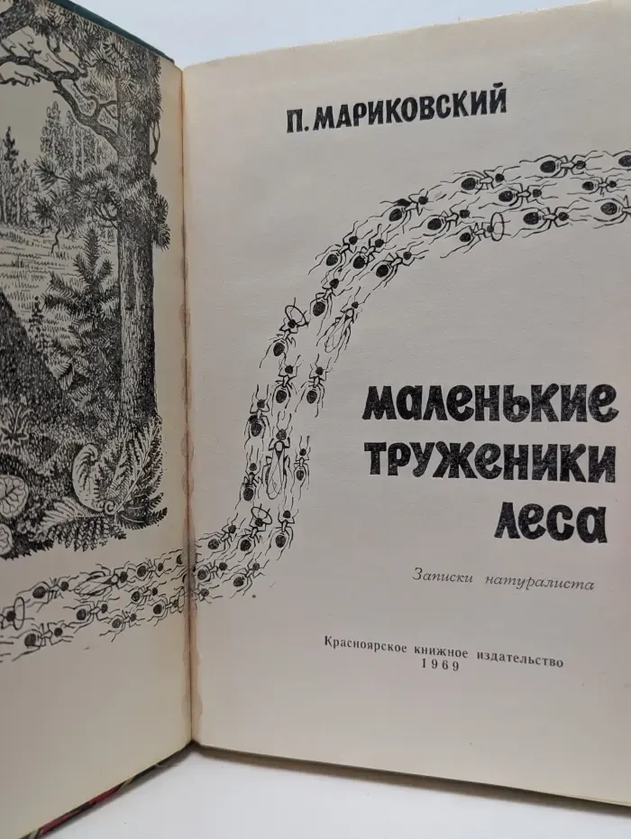 Маленькие труженики леса