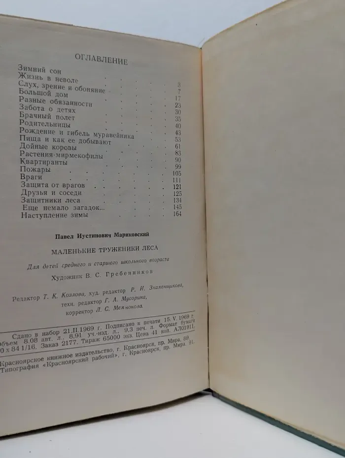 Маленькие труженики леса