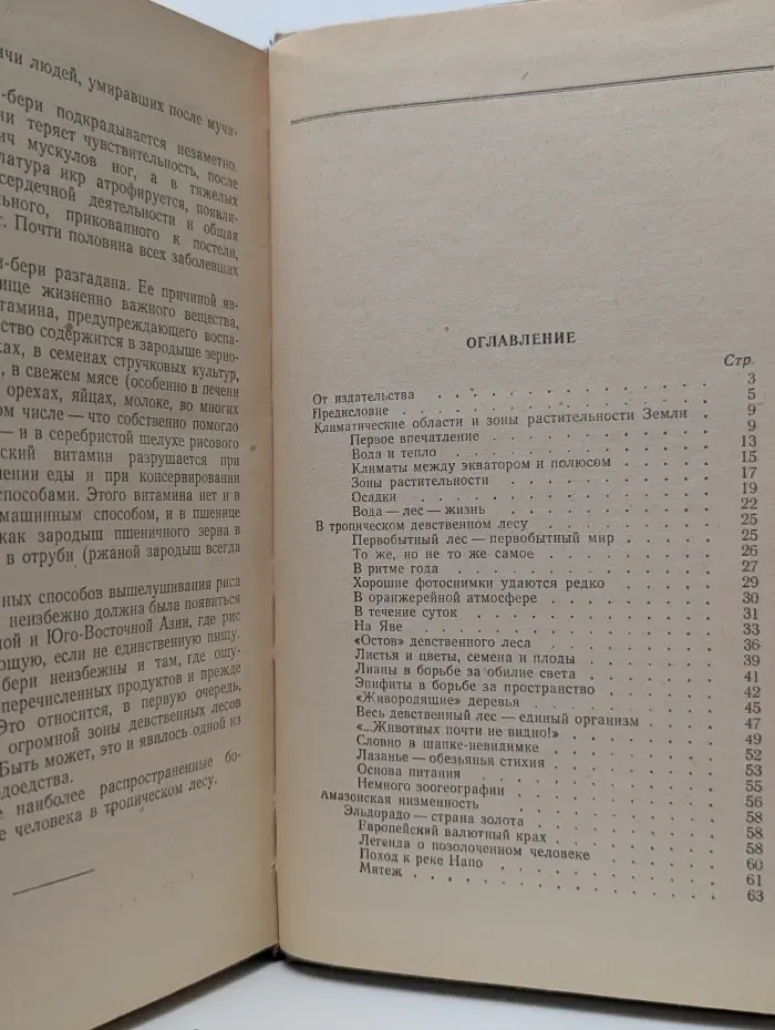 В сумраке тропического леса. Природа. Люди. Хозяйство