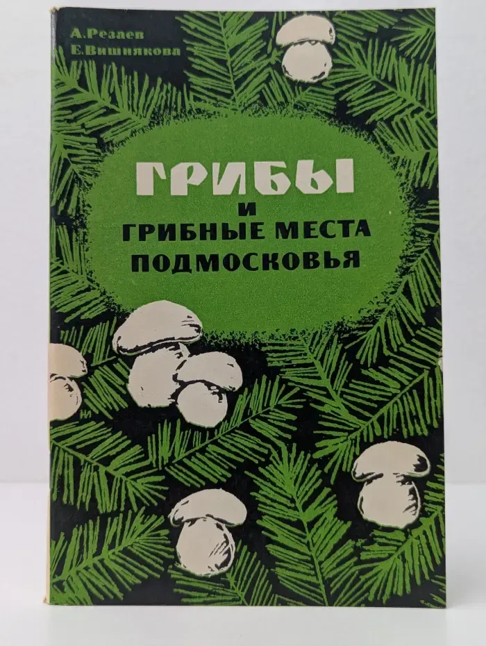 Грибы и грибные места Подмосковья
