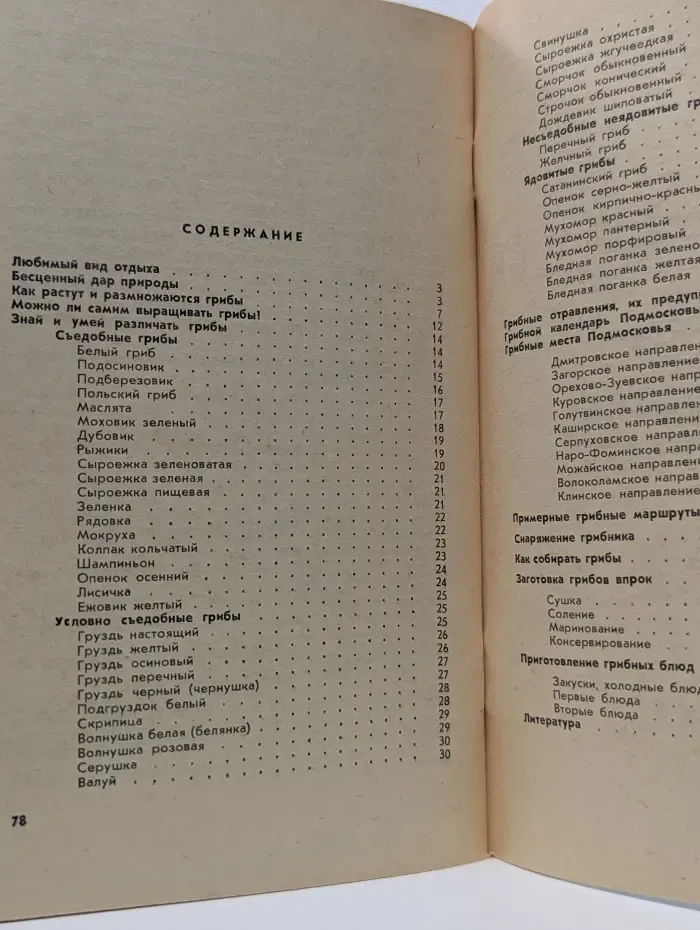 Грибы и грибные места Подмосковья