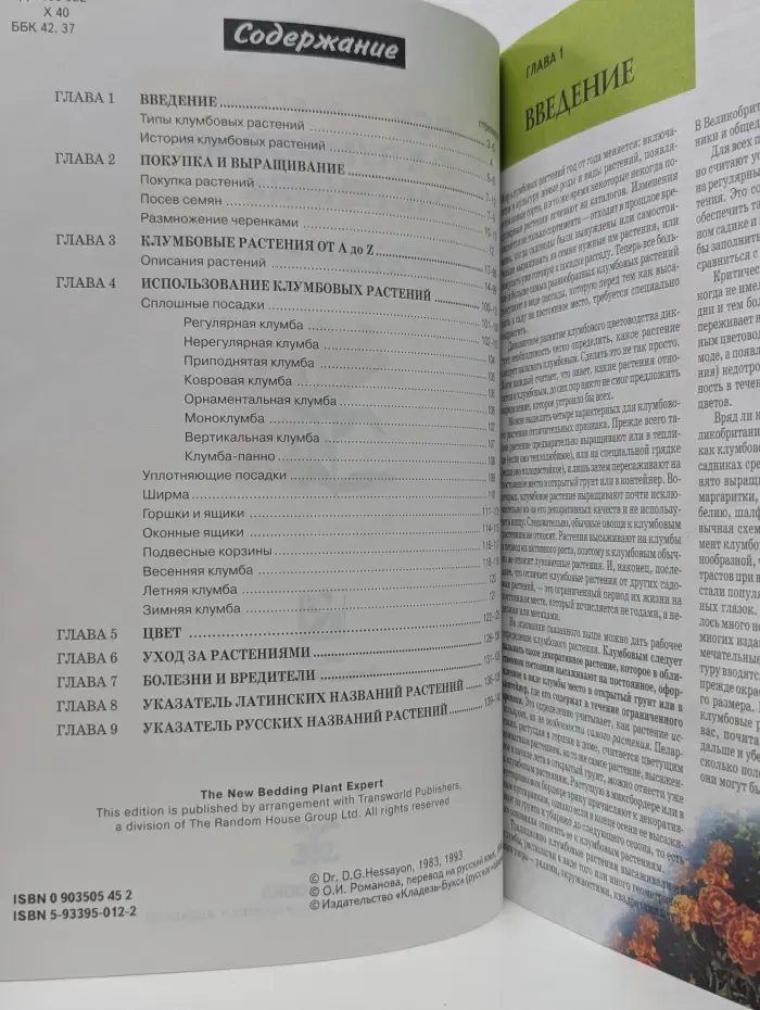 Все о клумбовых растениях