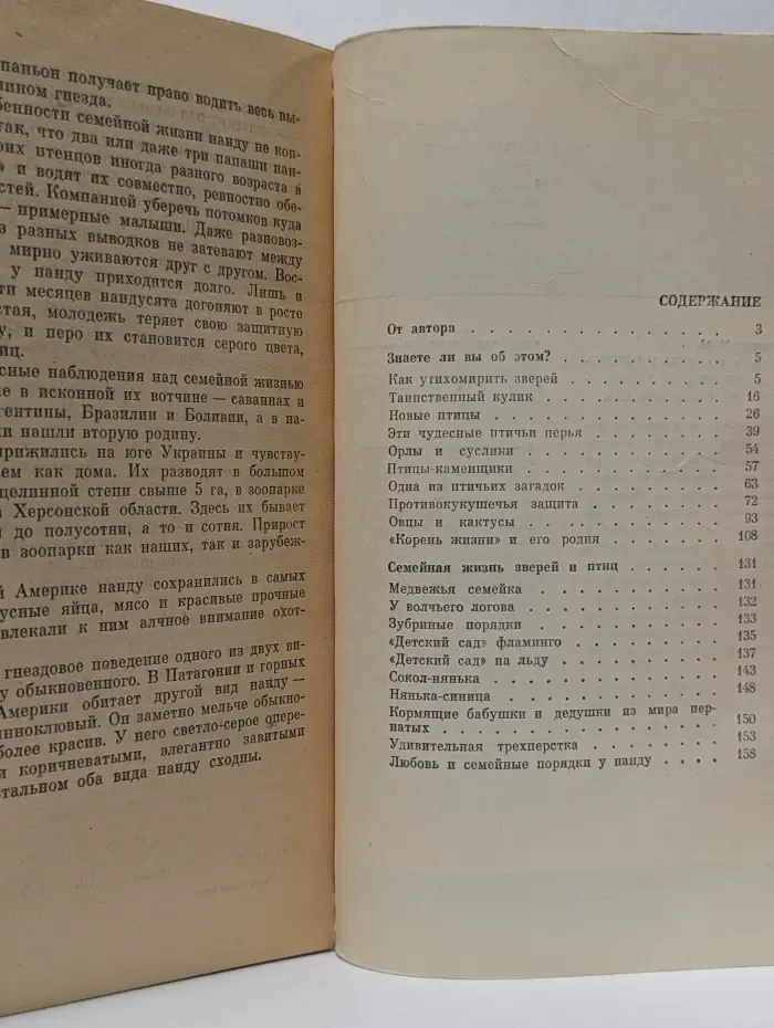 Человек и окружающая среда. В мире живой природы
