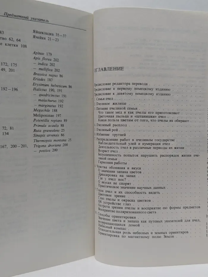 Из жизни пчел
