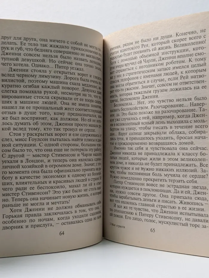 Панорама романов о любви. Миг страсти