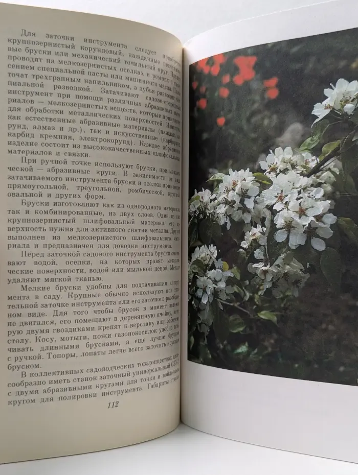 Сезонные работы в приусадебном саду