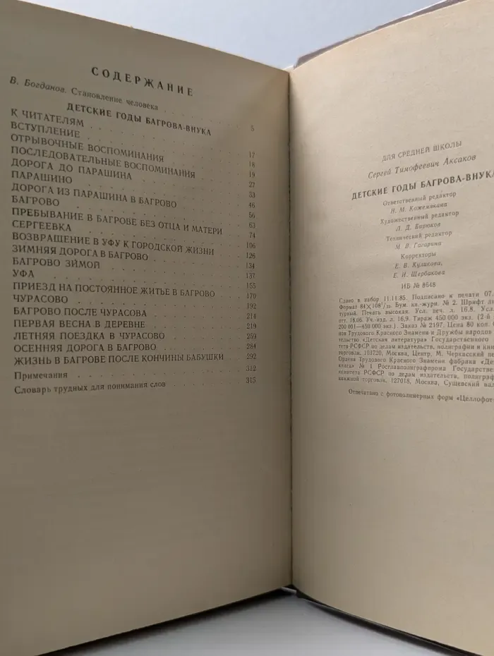Школьная библиотека. Детские годы Багрова-внука