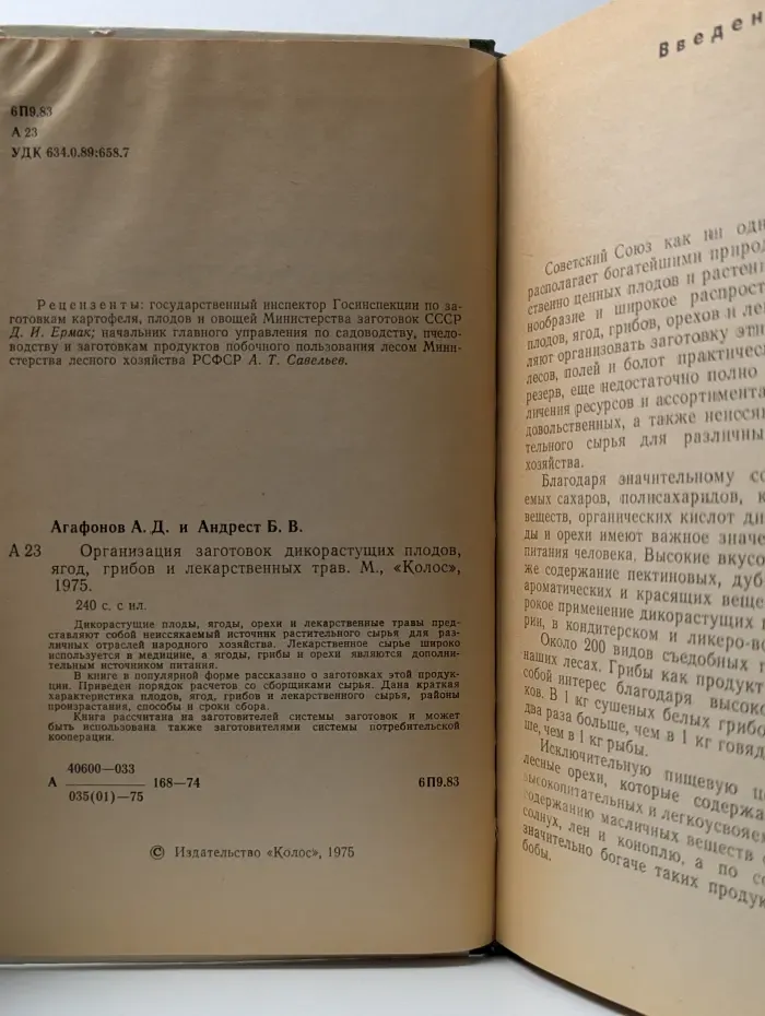Организация заготовок дикорастущих плодов, ягод, грибов и лекарственных трав