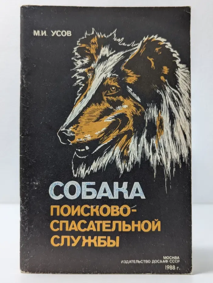 Собака поисково-спасательной службы