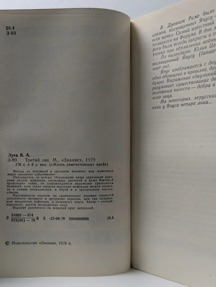 Жизнь замечательных идей. Третий лик