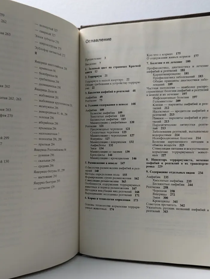 Террариум и его обитатели