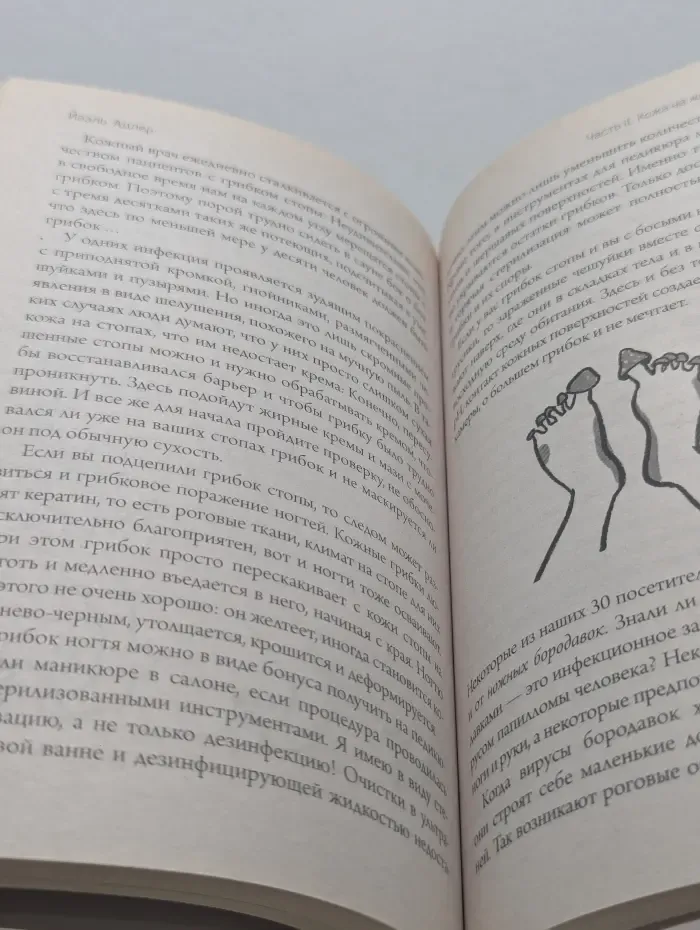 Книги, с которыми по пути. Бестселлер в кармане. Что скрывает кожа. 2 квадратных метра, которые диктуют как нам жить