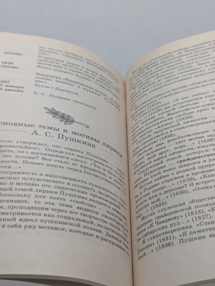 Школьная программа. Александр Пушкин. Лирика. Анализ текста. Основное содержание. Сочинения