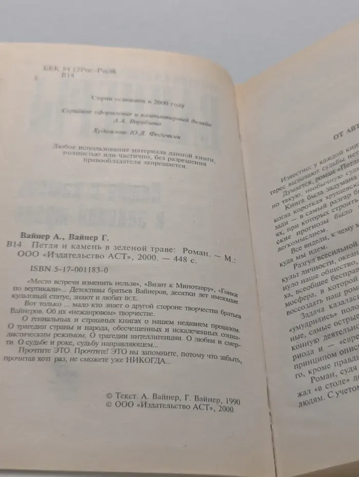 Петля и камень в зеленой траве