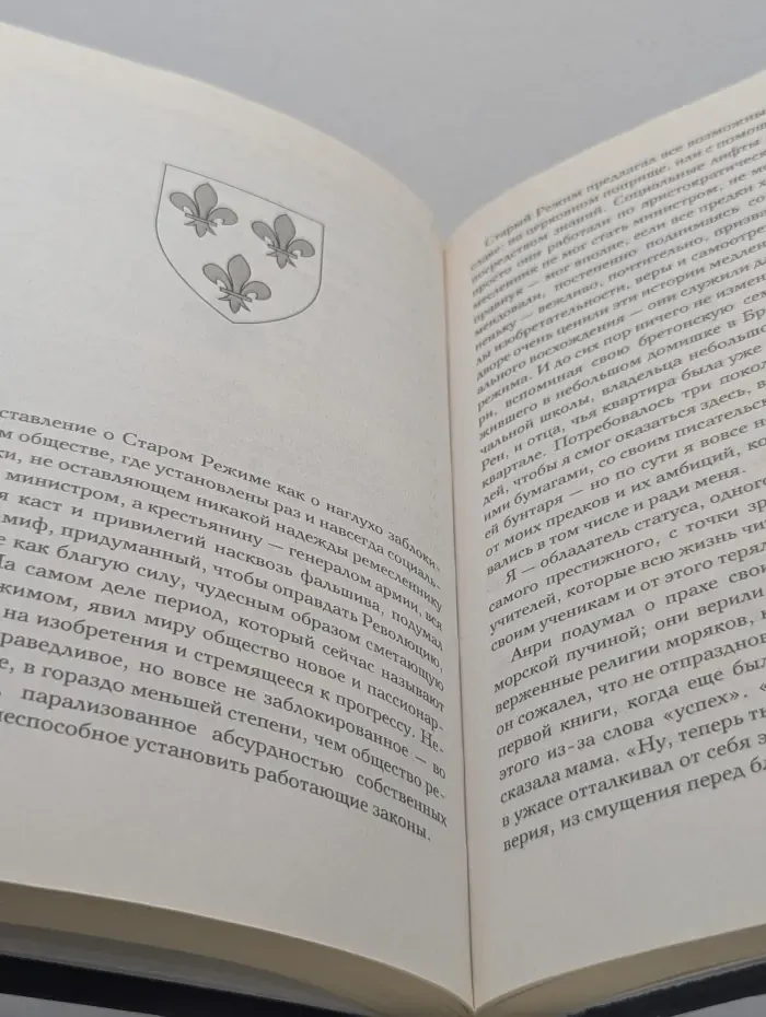 По-настоящему хорошая книга. Король без завтрашнего дня