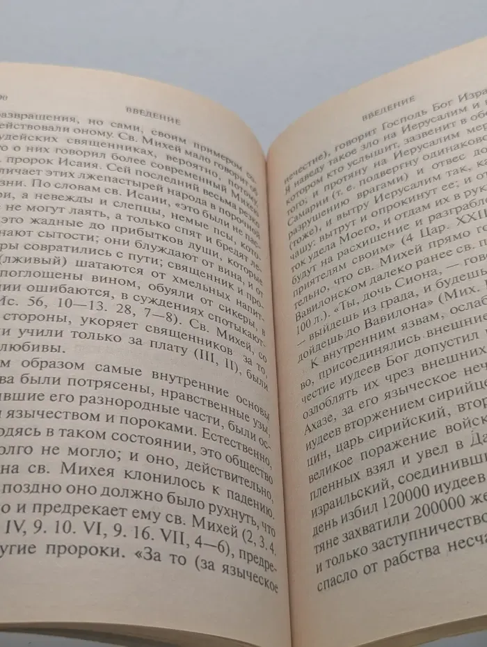 Святая Библия в толкованиях отцов Церкви. Толкования на книги святых пророков Ионы и Михея