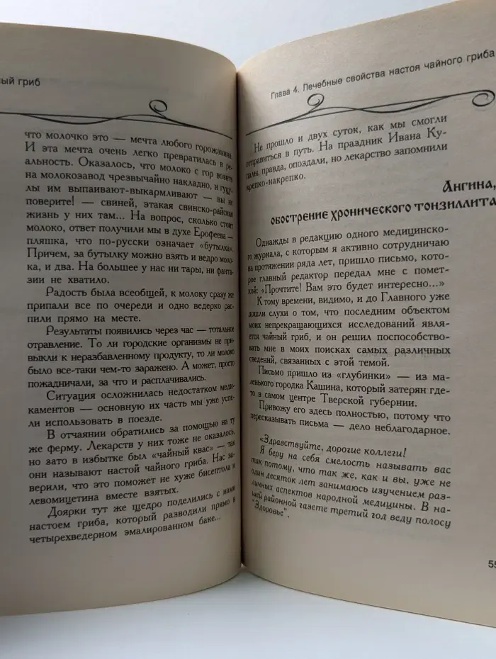 Чудо-свойства чайного гриба