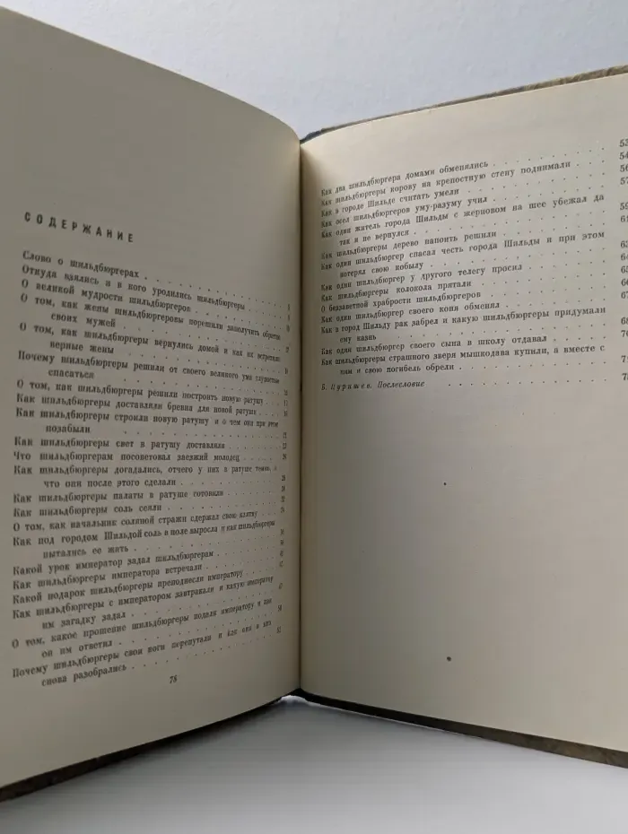 Школьная библиотека. Для восьмилетней школы. Книга о шильдбюргерах