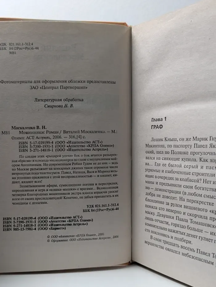 Кинороман. Мошенники
