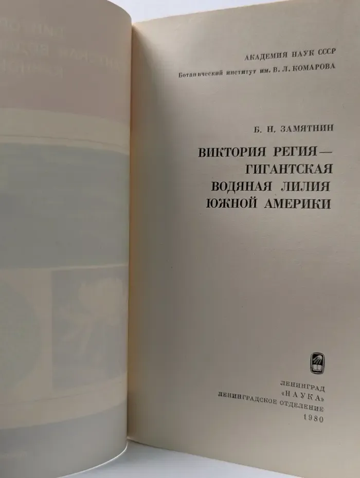 Виктория регия – гигантская водяная лилия Южной Америки