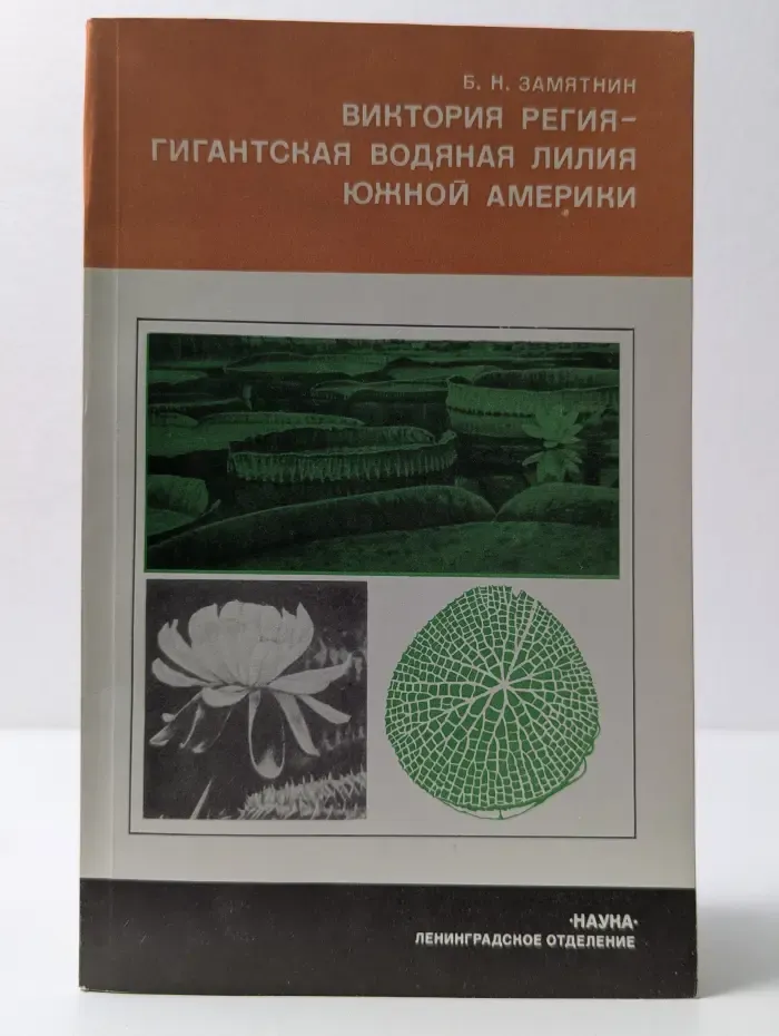Виктория регия – гигантская водяная лилия Южной Америки