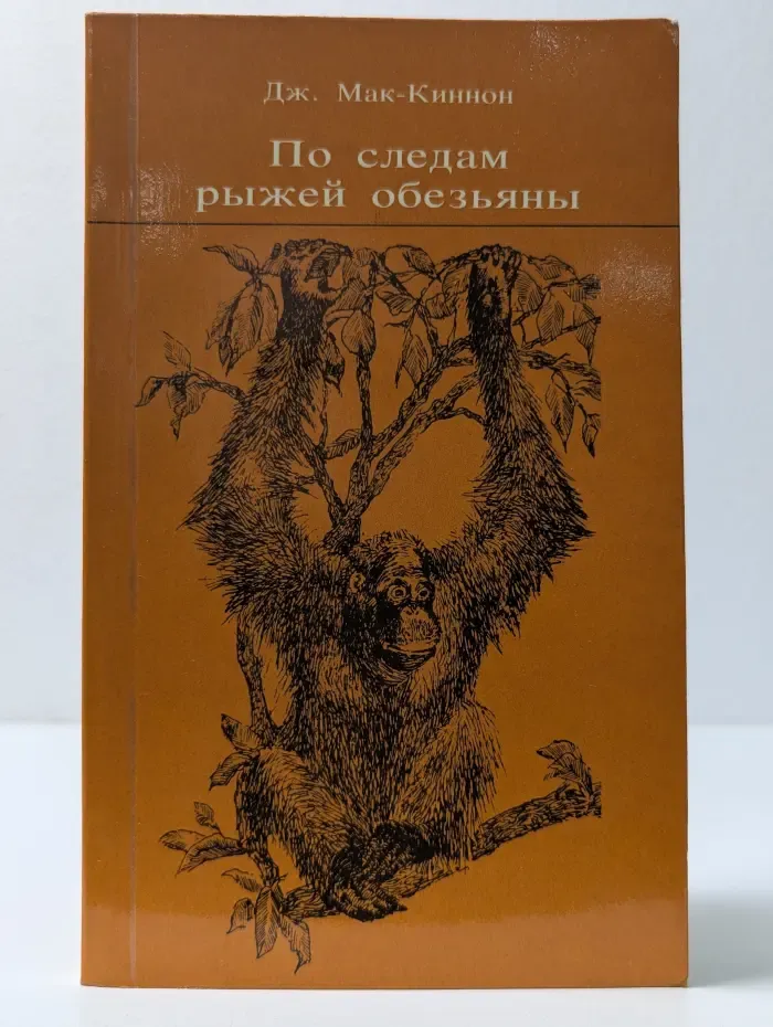 По следам рыжей обезьяны