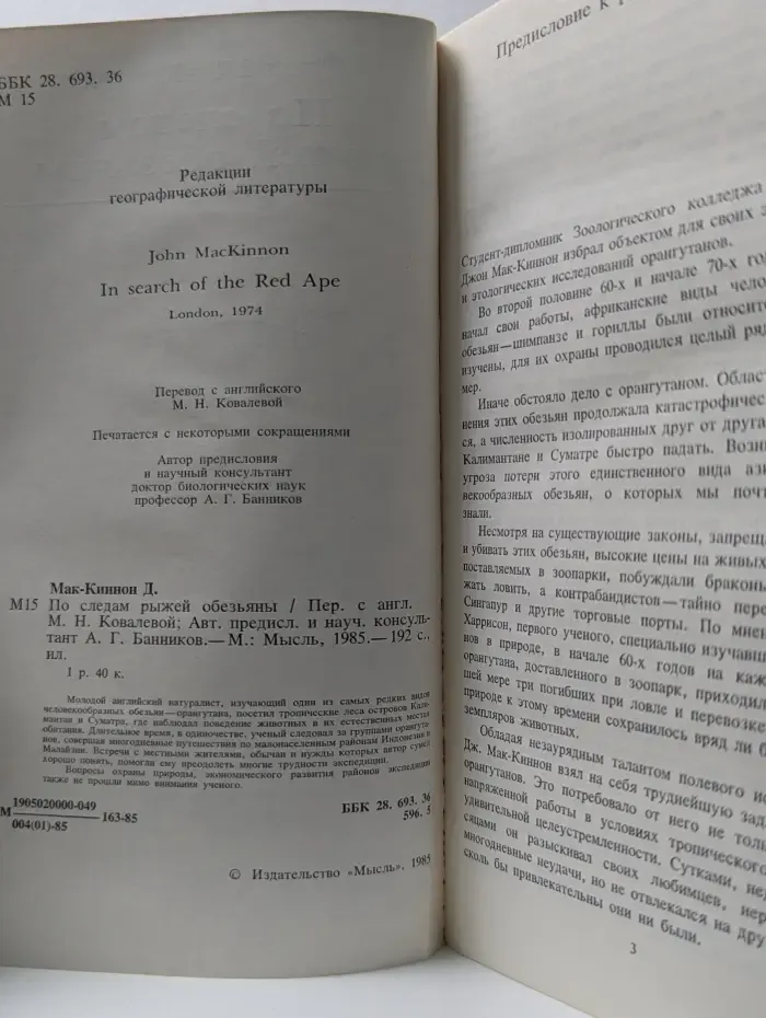 По следам рыжей обезьяны