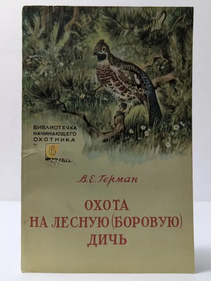 Охота на лесную боровую дичь