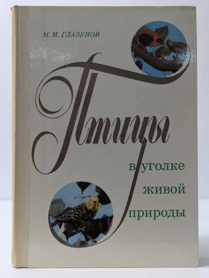 Птицы в уголке живой природы