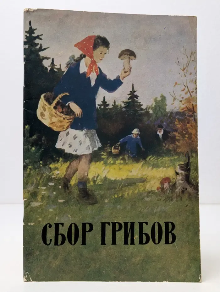 Сбор грибов