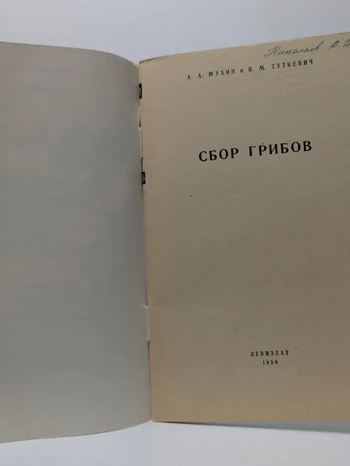 Сбор грибов