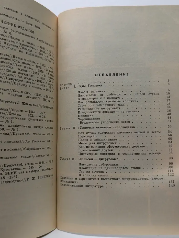 Цитрусовый сад в комнате