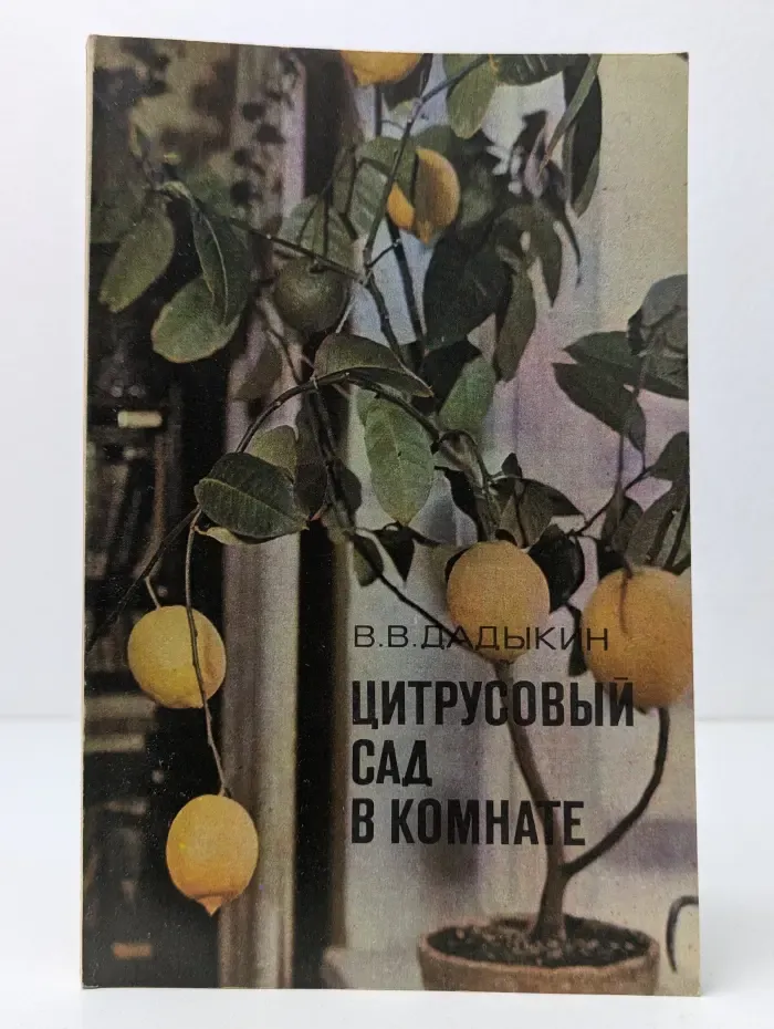 Цитрусовый сад в комнате