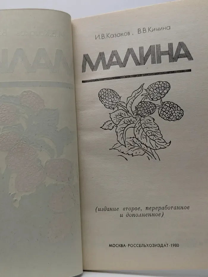 Малина