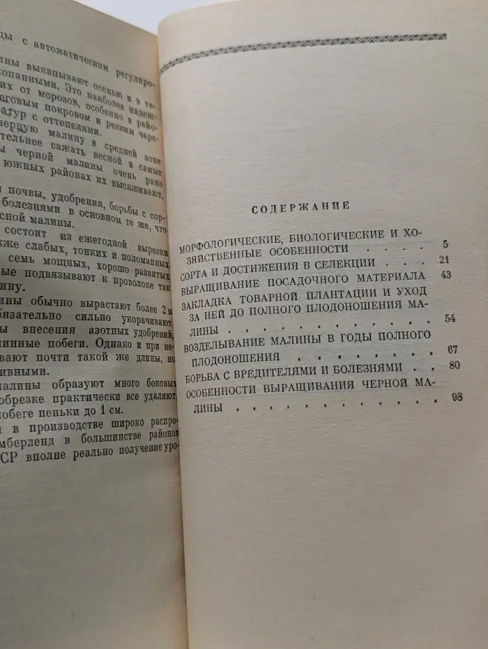 Малина
