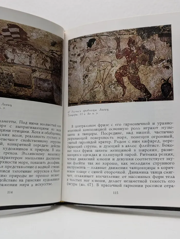 Очерки истории и теории изобразительных искусств. Искусство этрусков