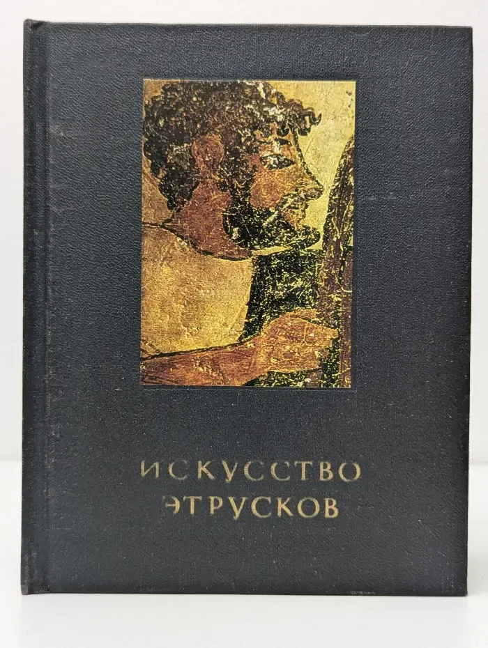 Очерки истории и теории изобразительных искусств. Искусство этрусков