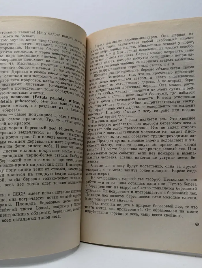 Человек и окружающая среда. Мир лесных растений