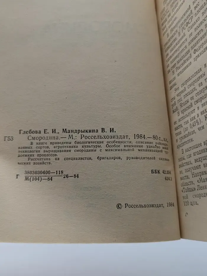 Смородина