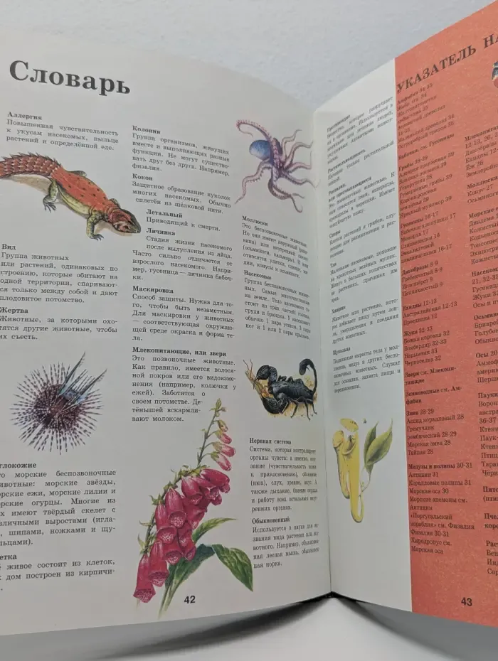 Неизвестное об известном