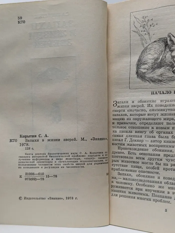 Запахи в жизни зверей