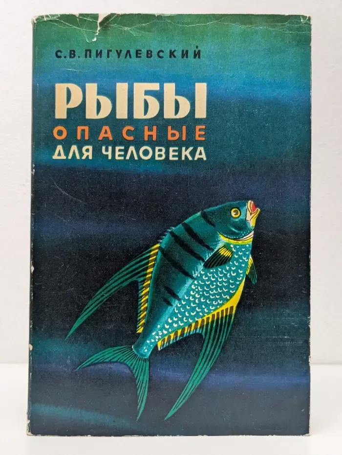 Рыбы, опасные для человека
