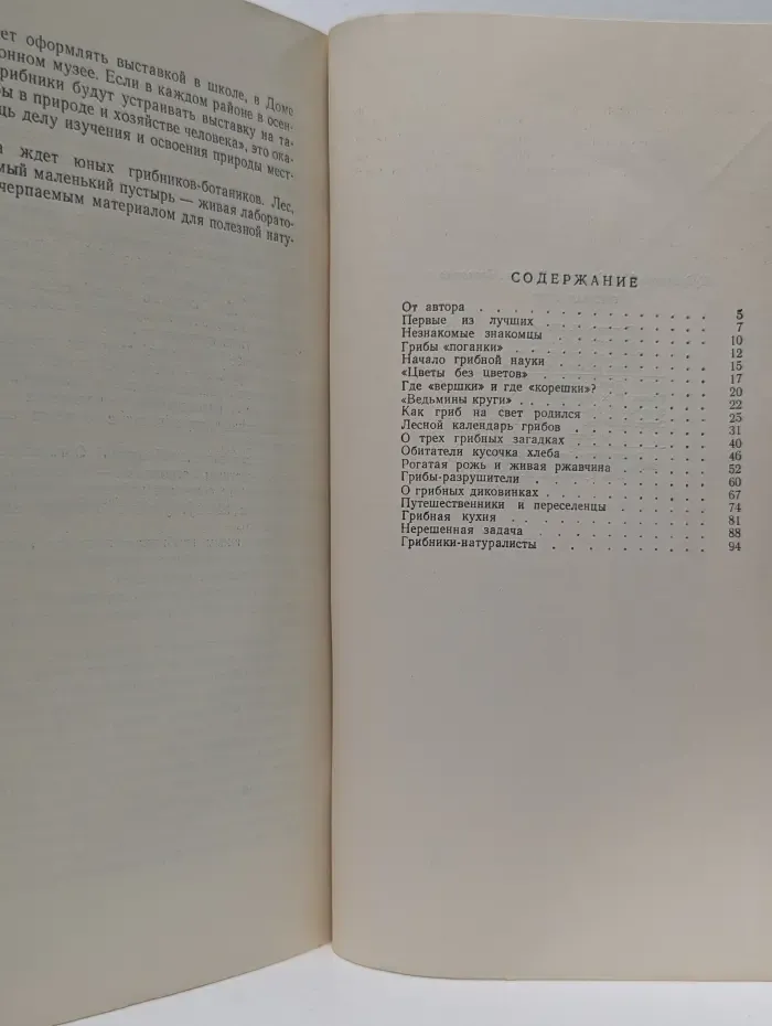 Грибная быль
