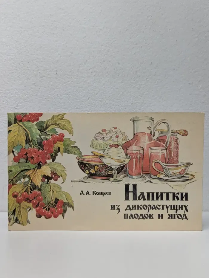 Напитки из дикорастущих плодов и ягод